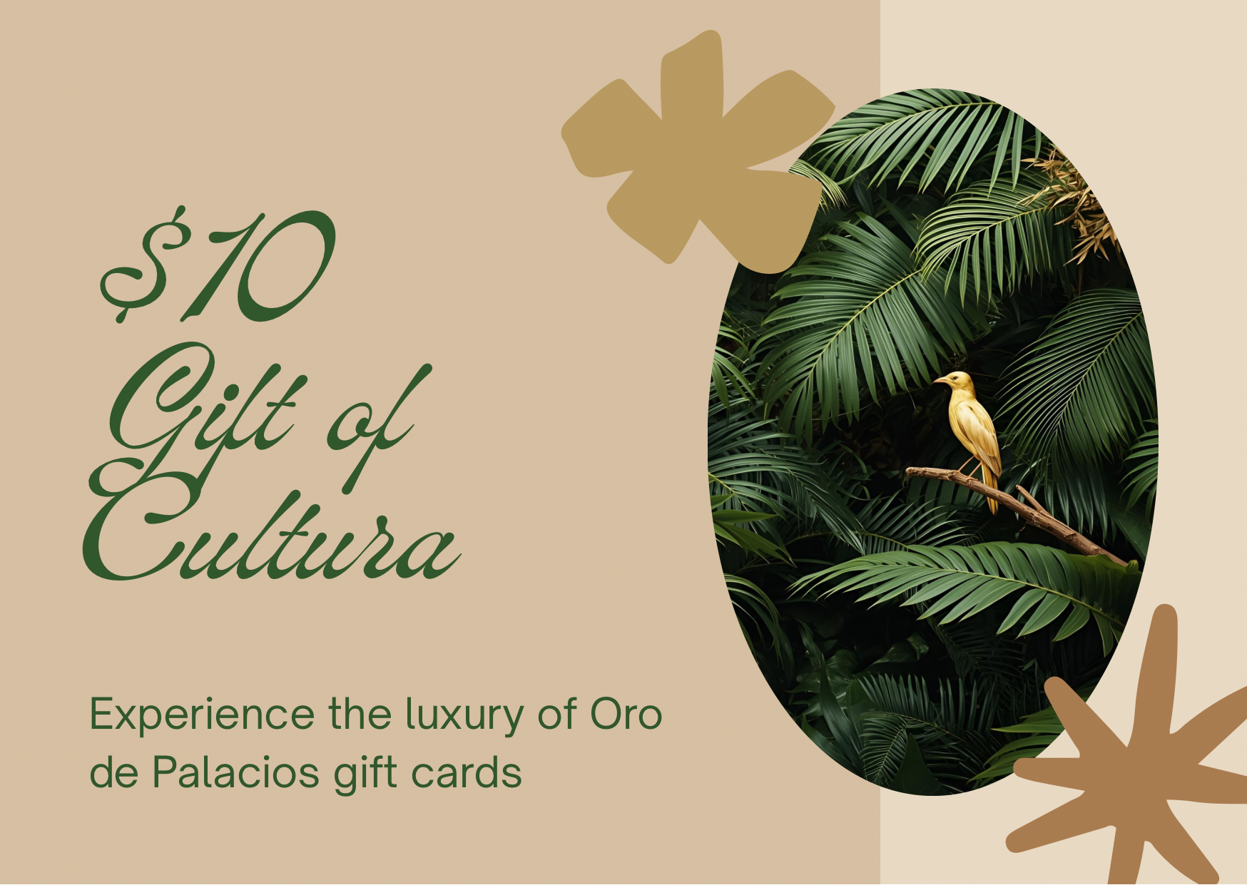 Otoño 2025 Gift Cards